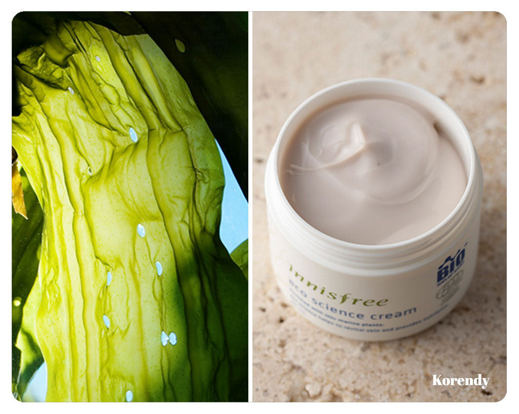Innisfree - Eco science cream 80ml - korendy türkiye satış - kore cilt bakım kozmetik ürünleri türkiye - 2