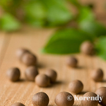 Innisfree - The Green Tea Seed Cream 50mL - fiyatı kore cilt bakım kozmetik ürünleri türkiye satış korendy - 4